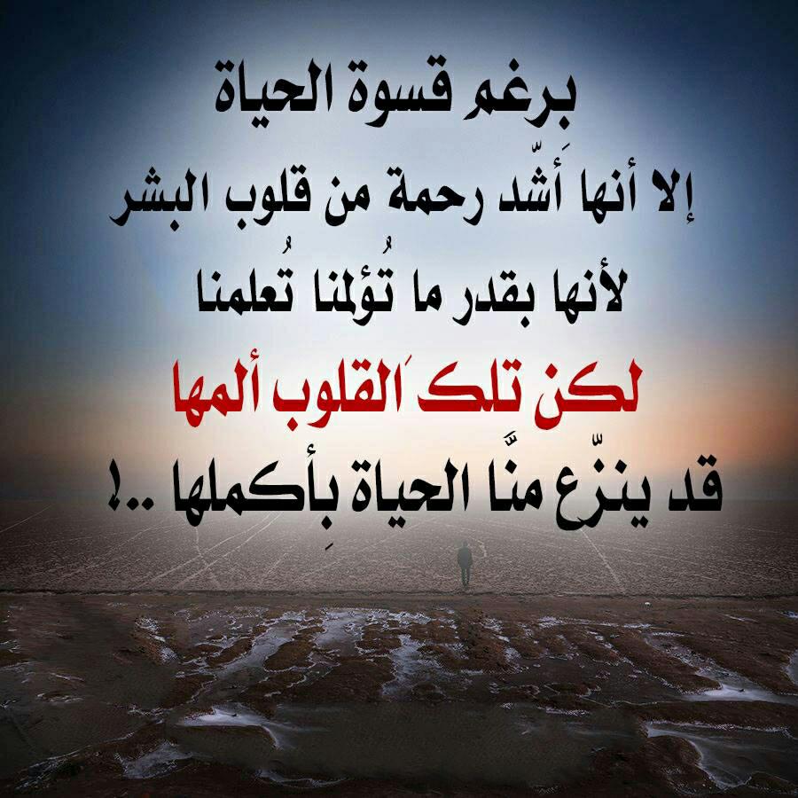 عبارات عن قسوة البشر
