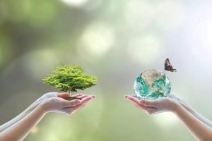 عبارات عن نظافة البيئة