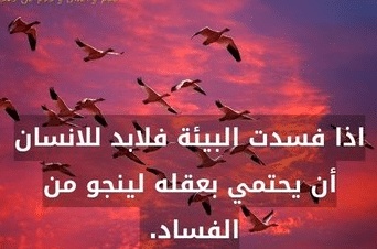 عبارات عن نظافة البيئة