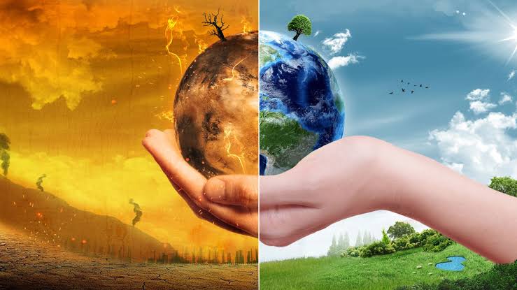 عبارات عن نظافة البيئة