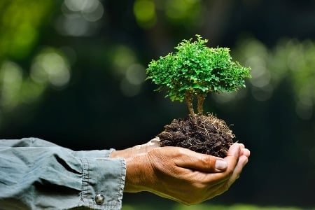 عبارات عن نظافة البيئة