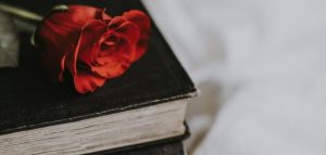 عبارات عن يوم جميل