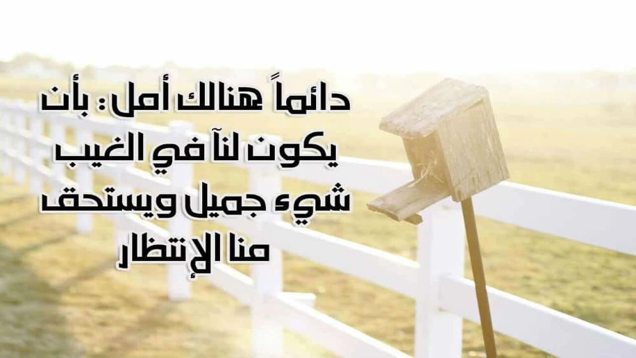 صورة عبارات فيها حكمة