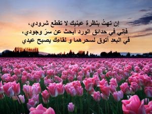 عبارات فيها ورد