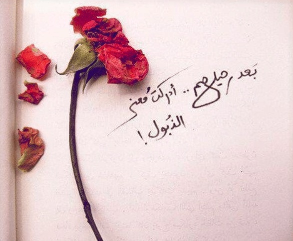 عبارات فيها ورد