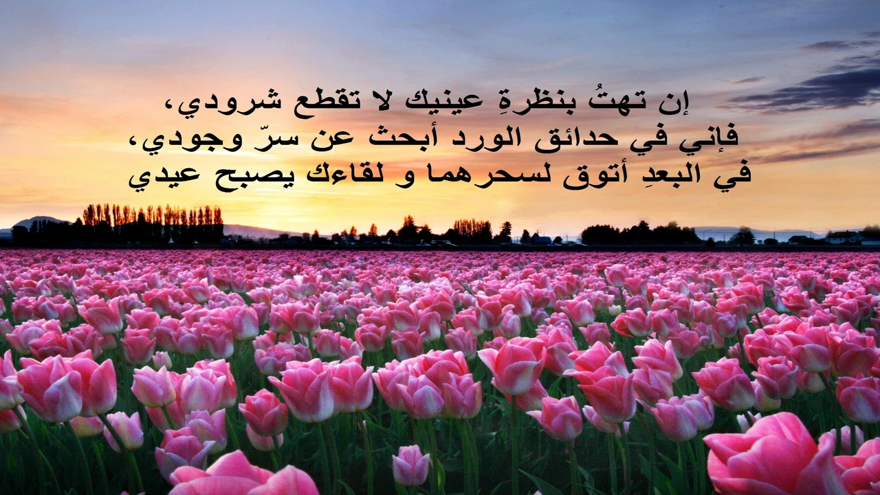 صورة عبارات فيها ورد