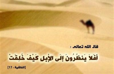 عبارات كن مع الله