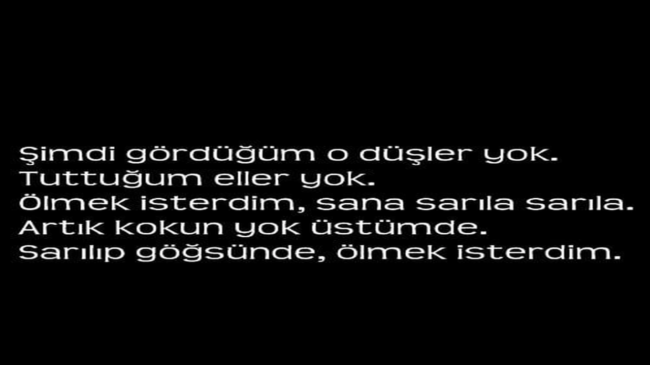 صورة عبارات وداع بالتركي