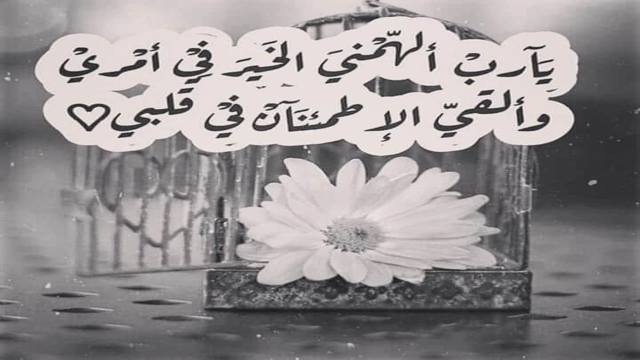 صورة عبارات يارب