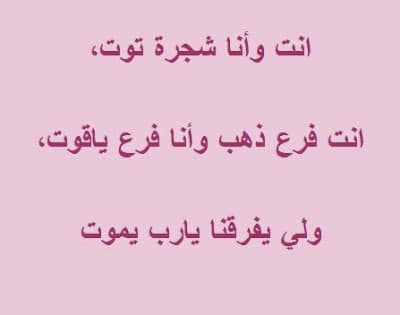 غزل رخيص مضحك