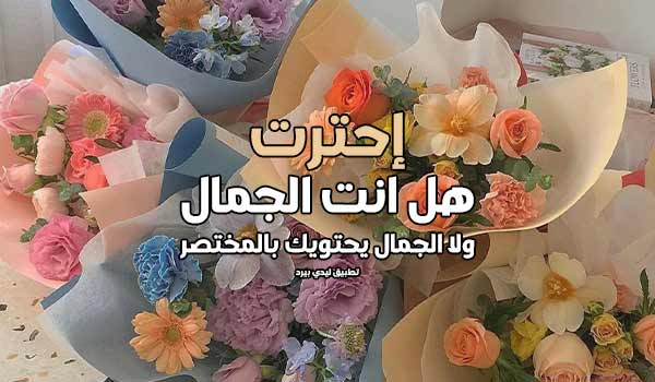 غزل عن الخصر