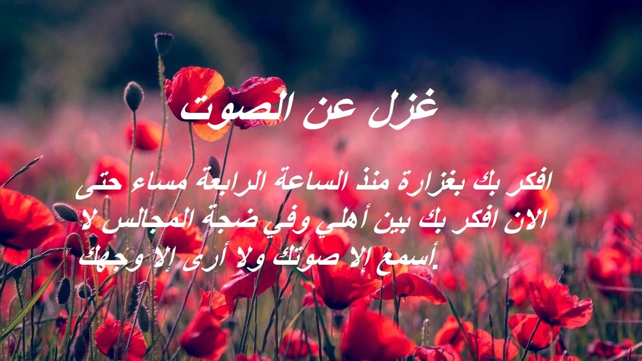 صورة غزل عن الصوت