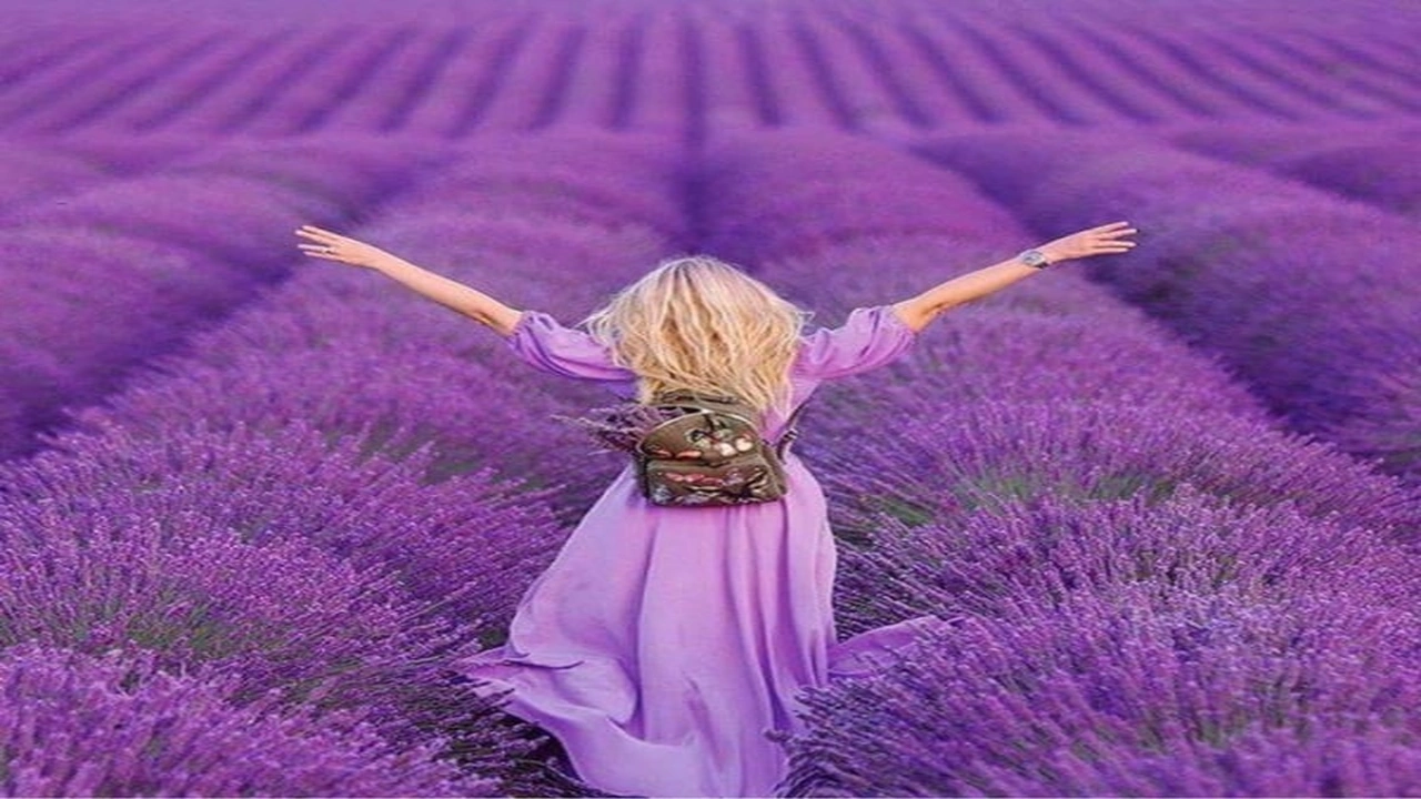 صورة غزل عن اللون البنفسجي