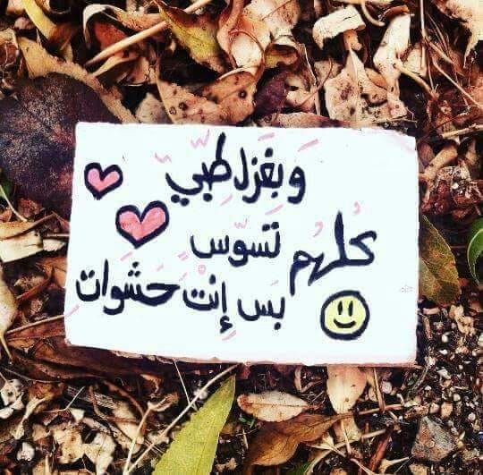 غزل عن الهندسة