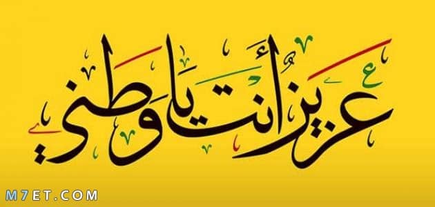 غزل عن الوطن