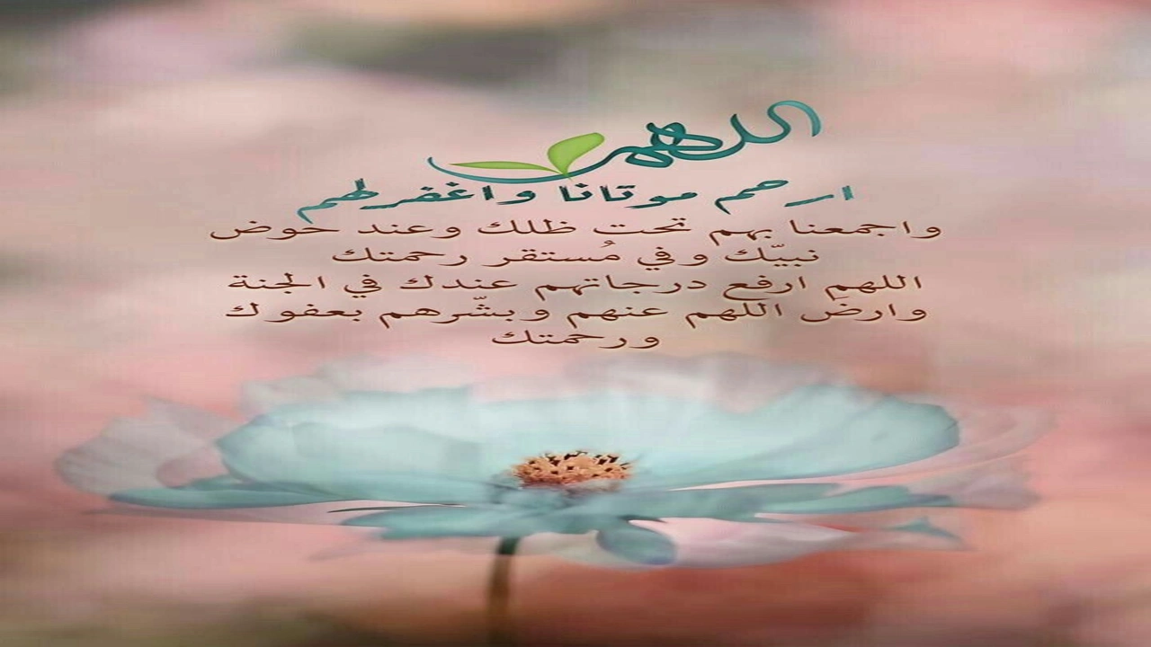 صورة في مثل هذا اليوم مات ابي