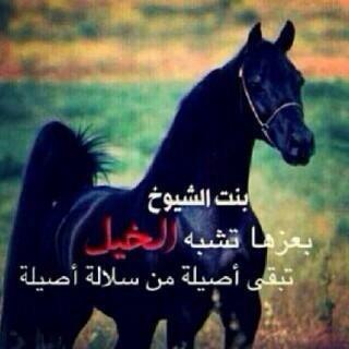 قصائد مدح بنات الشيوخ