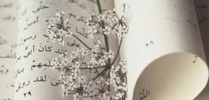 قصائد مدح جاهليه