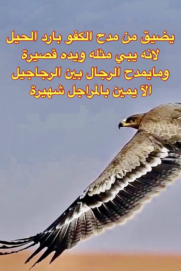 قصائد مدح رجل كريم