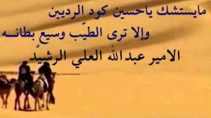 قصائد مدح يمنيه