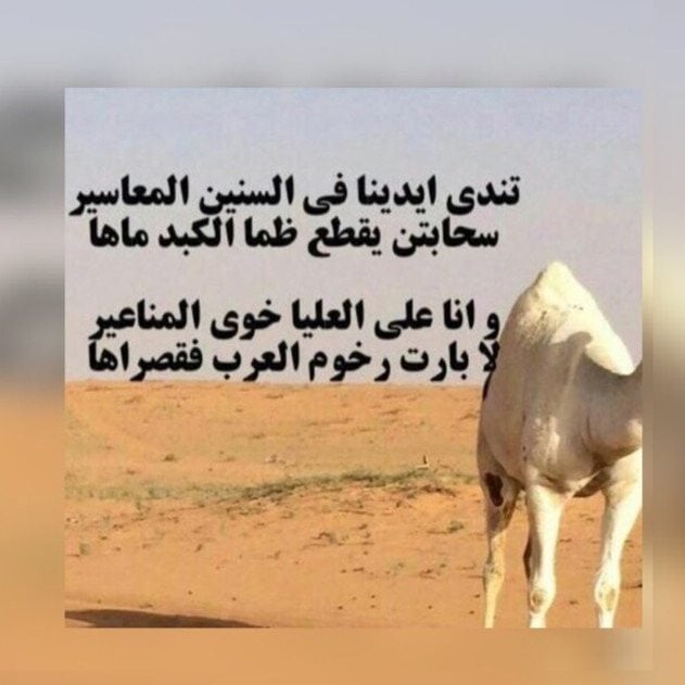 قصائد مدح يمنيه