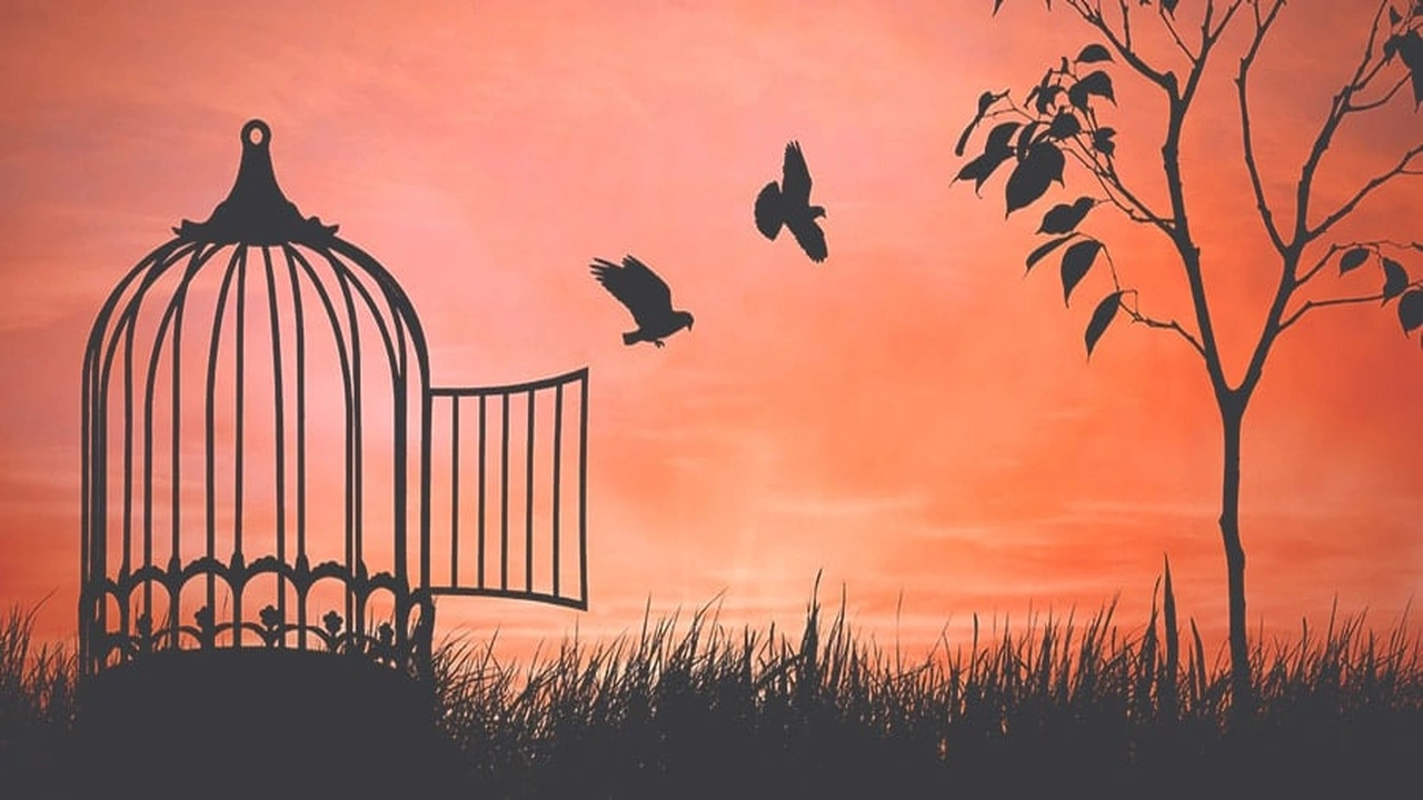 صورة قصة قصيرة عن الحرية