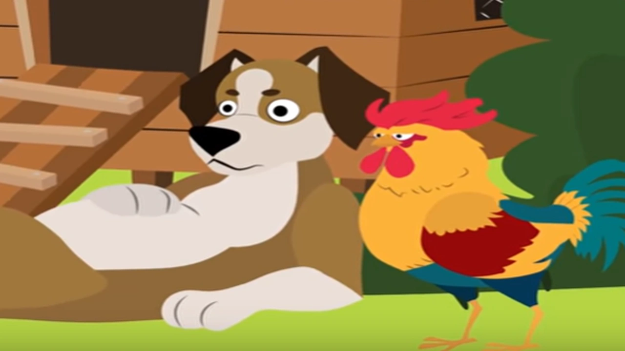 صورة قصص اطفال قبل النوم عمر 3 سنوات : الديك المخدوع - قصص اطفال قبل النوم طويلة , قصص اطفال قبل النوم قصيرة جدا