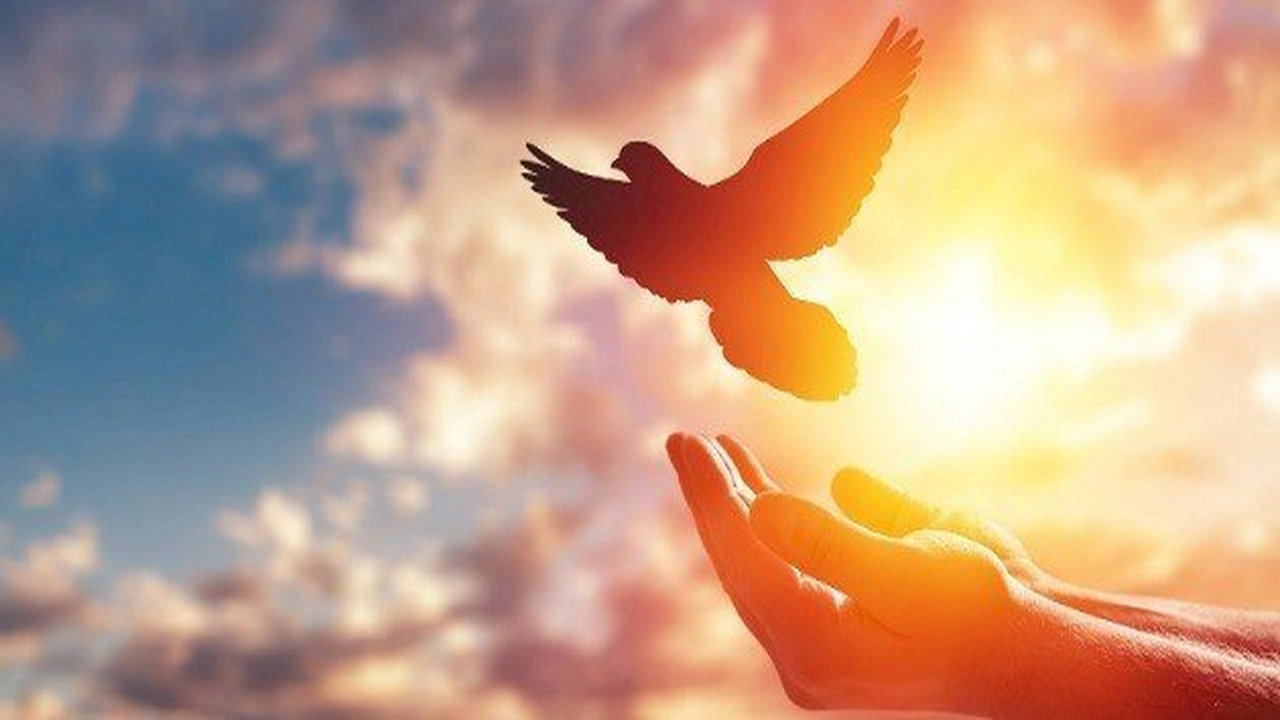 صورة قصص واقعية عن الامل