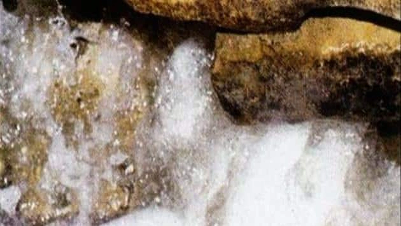 صورة قصص واقعية عن شرب ماء زمزم