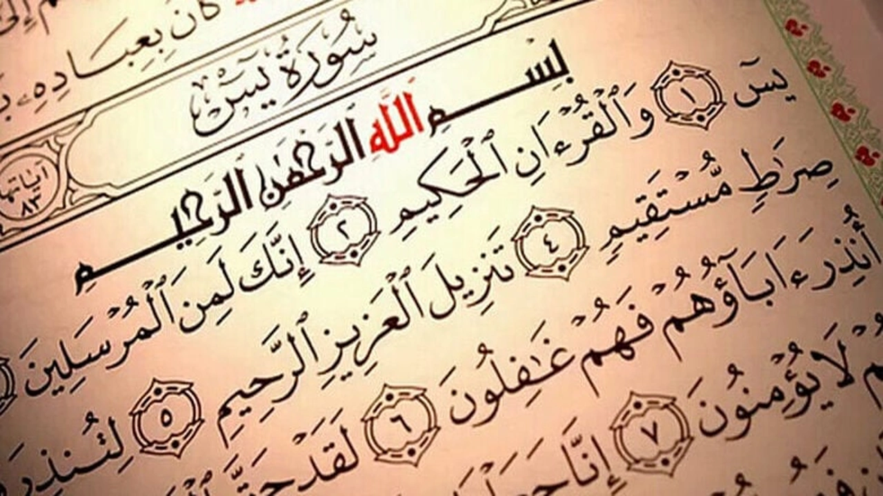 صورة قصص واقعية عن فضل سورة يس