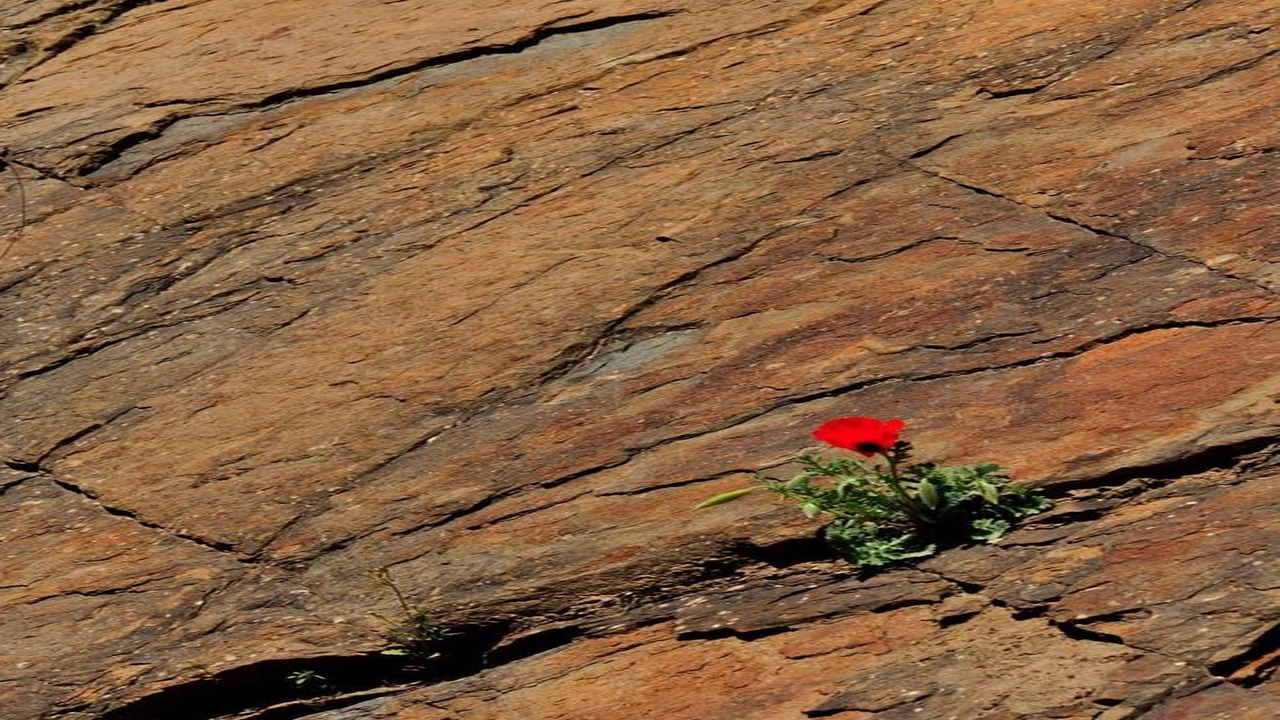 صورة كابشن انجلش عن الامل