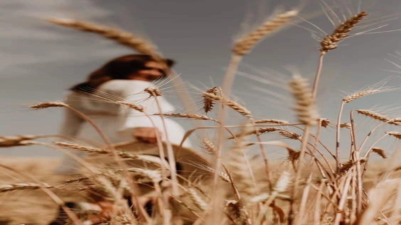 صورة كابشن حب بالانجليزي