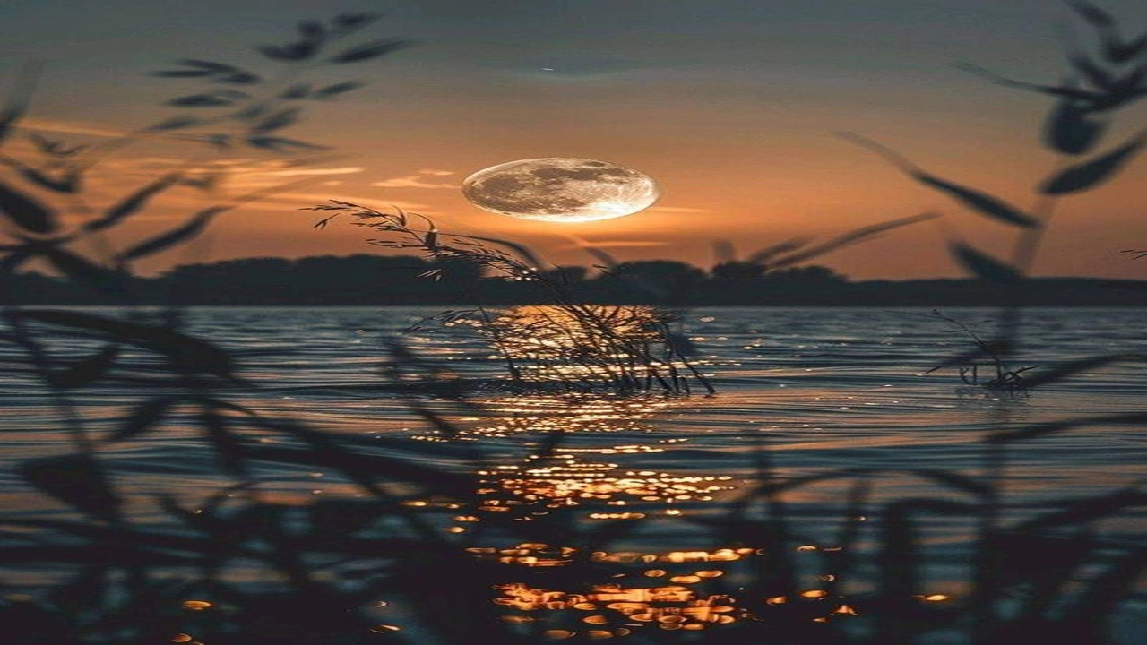 صورة كابشن كريتف للصور الشخصية