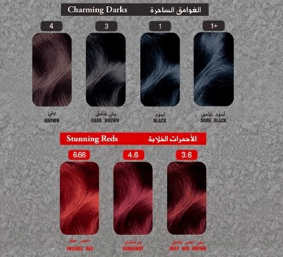 كتالوج صبغة غارنييه بالارقام
