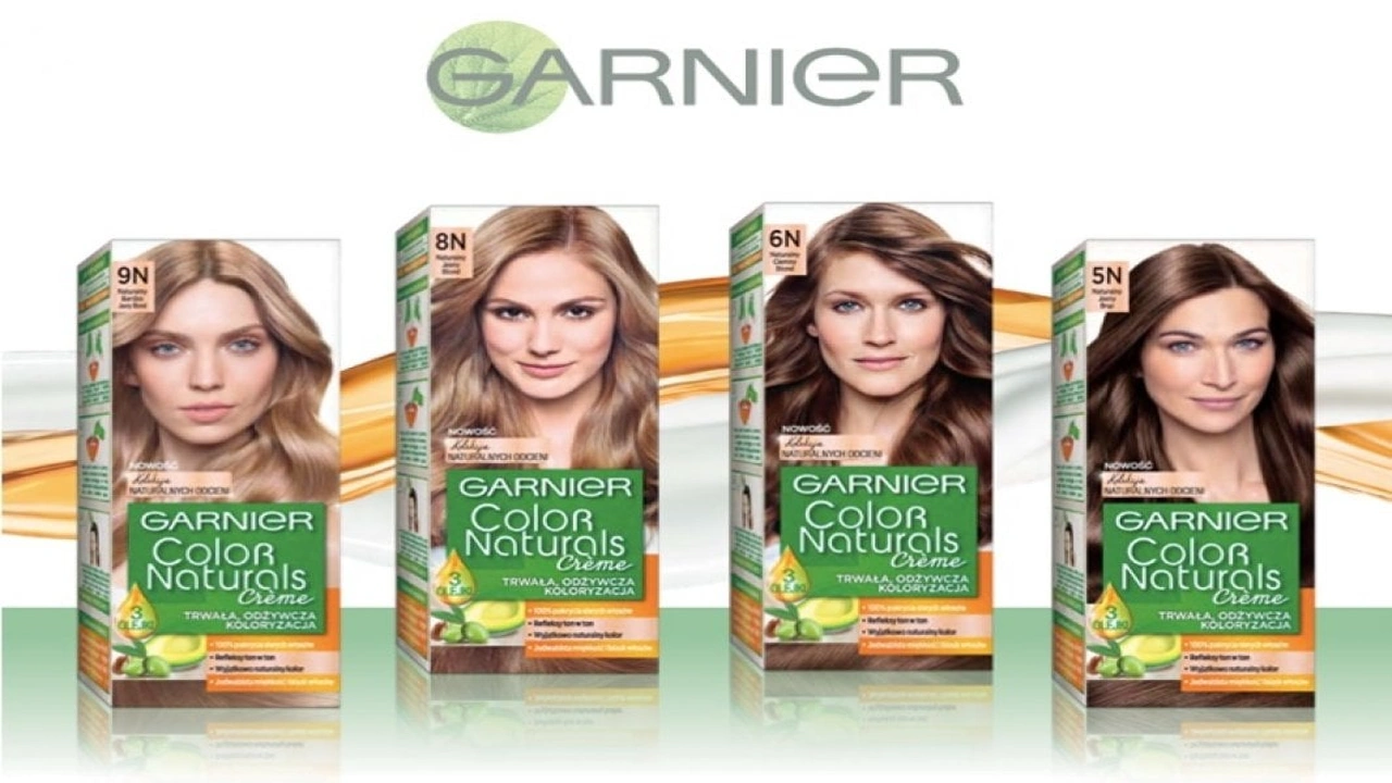 صورة كتالوج صبغة غارنييه بالارقام