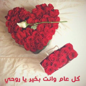 كل عام وانت بخير حبيبي
