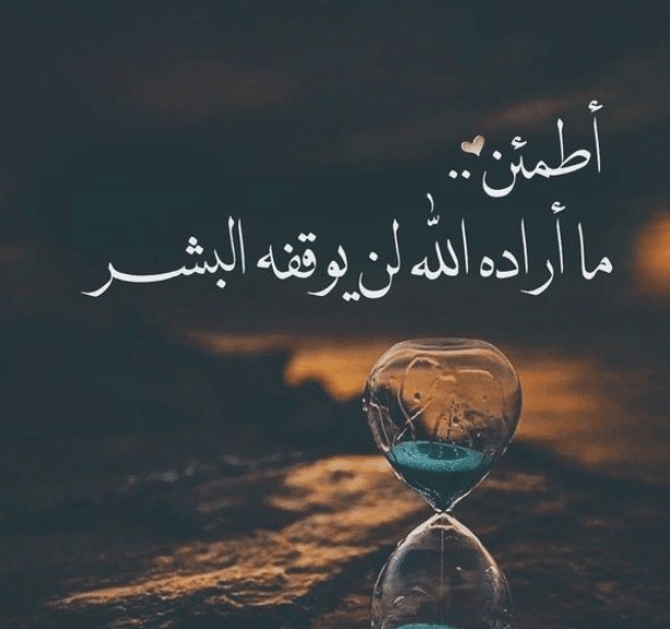 كلام جميل عن الحياة
