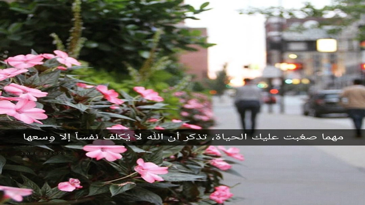 صورة كلام جميل عن جمال الحياة