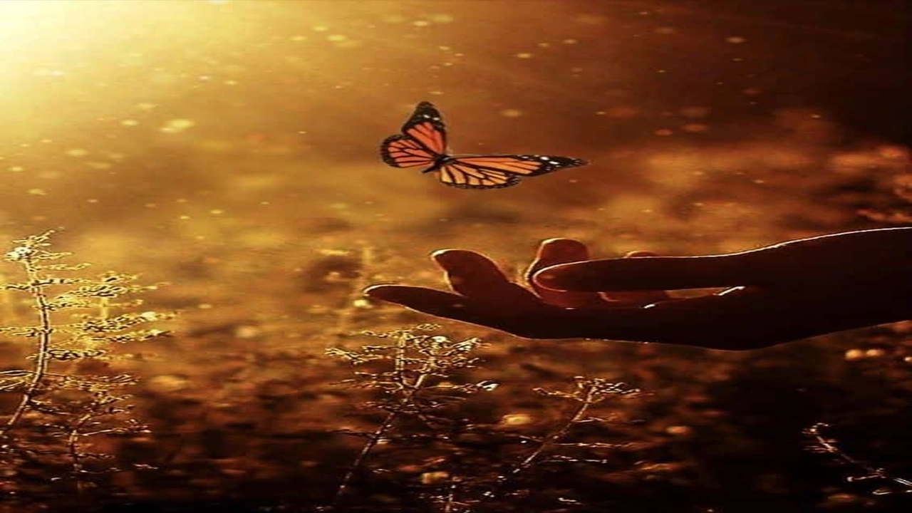 صورة كلام جميل عن نفسي بالفرنسية