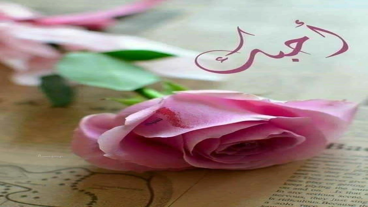 صورة كلام حلو لحبيبتي وهي نايمه