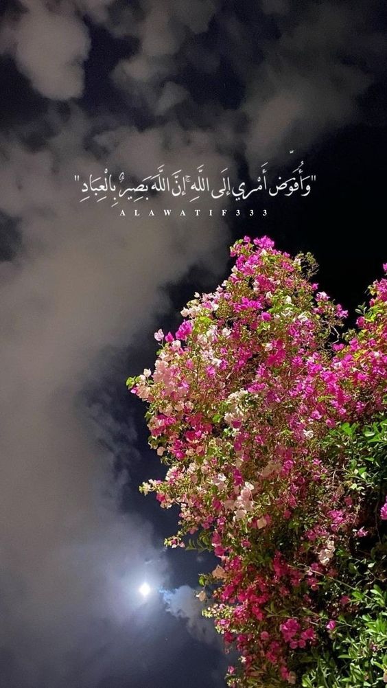 كلام ديني حالات واتس