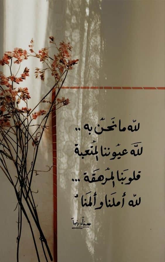 كلام ديني رائع تويتر