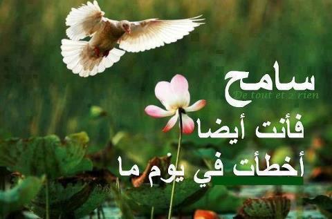 كلام عن التسامح فى الحب