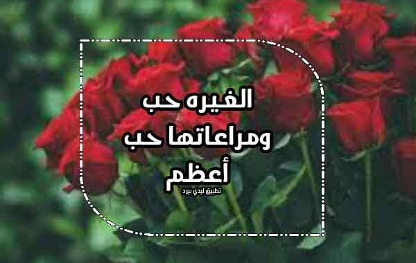 كلام عن الغيره