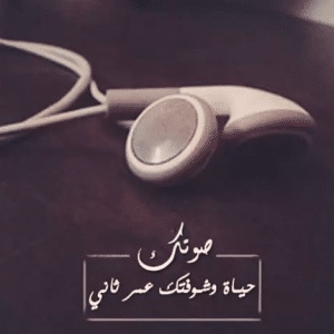 كلام عن صوت الحبيب
