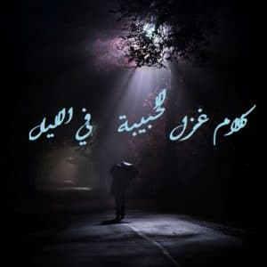 كلام غزل للحبيبة في الليل