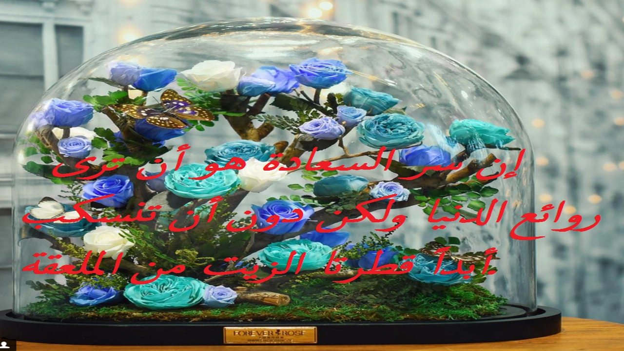 صورة كلام في الصميم