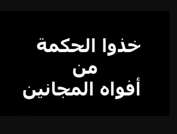 كلام مجانين مضحك