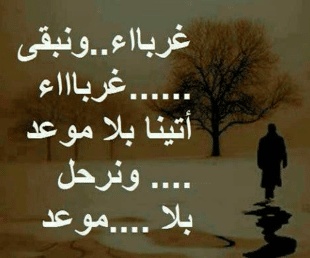كلام من صميم الواقع