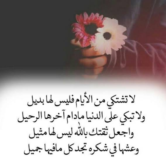 كلام من صميم الواقع